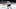 Winnipeg Jets Winnipeg Jets