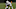Jacoby Jones, Texas Football Mandatory Credit: Brett Rojo-USA TODAY Sports Jacoby Jones, Texas Football Mandatory Credit: Brett Rojo-USA TODAY Sports