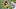 PITTSBURGH, PA – DECEMBER 27: Ray-Ray McCloud #14 of the Pittsburgh Steelers in action during the game against the Indianapolis Colts at Heinz Field on December 27, 2020 in Pittsburgh, Pennsylvania. (Photo by Joe Sargent/Getty Images) PITTSBURGH, PA – DECEMBER 27: Ray-Ray McCloud #14 of the Pittsburgh Steelers in action during the game against the Indianapolis Colts at Heinz Field on December 27, 2020 in Pittsburgh, Pennsylvania. (Photo by Joe Sargent/Getty Images)