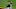 Gary Sanchez, New York Yankees Gary Sanchez, New York Yankees