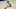 New York Knicks New York Knicks