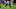 Baltimore Ravens (Photo by Will Newton/Getty Images) Baltimore Ravens (Photo by Will Newton/Getty Images)