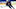 Toronto Maple Leafs Toronto Maple Leafs