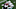 New England Patriots New England Patriots
