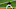 Pittsburgh Pirates Pittsburgh Pirates