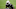GLENDALE, ARIZONA – OCTOBER 25: Safety Deionte Thompson #22 of the Arizona Cardinals during the NFL game against the Seattle Seahawks at State Farm Stadium on October 25, 2020, in Glendale, Arizona. The Cardinals defeated the Seahawks 37-34 in overtime. (Photo by Christian Petersen/Getty Images)