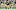 Green Bay Packers