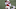 Louisville football Louisville football