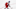 New Jersey Devils