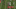 Joey Bosa Vs Maryland (2015) Joey Bosa Vs Maryland (2015)