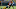 New England Patriots News: Running back Jeremy Hill visiting team New England Patriots News: Running back Jeremy Hill visiting team
