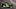 AVONDALE, AZ – APRIL 06: Charlie Kimball, driver of the #23 Carlin Chevrolet IndyCar (Photo by Christian Petersen/Getty Images) AVONDALE, AZ – APRIL 06: Charlie Kimball, driver of the #23 Carlin Chevrolet IndyCar (Photo by Christian Petersen/Getty Images)