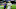NFL DraftKings