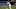 Arizona Diamondbacks Arizona Diamondbacks