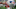 New England Patriots New England Patriots