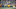 GREEN BAY, WISCONSIN – NOVEMBER 10: Preston Smith #91 of the Green Bay Packers celebrates a play against the Carolina Panthers during the fourth quarter in the game at Lambeau Field on November 10, 2019 in Green Bay, Wisconsin. (Photo by Stacy Revere/Getty Images) GREEN BAY, WISCONSIN – NOVEMBER 10: Preston Smith #91 of the Green Bay Packers celebrates a play against the Carolina Panthers during the fourth quarter in the game at Lambeau Field on November 10, 2019 in Green Bay, Wisconsin. (Photo by Stacy Revere/Getty Images)
