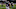 Khalil Mack, Chicago Bears Khalil Mack, Chicago Bears
