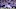 New York Giants