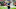 New England Patriots New England Patriots