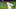 Philadelphia Phillies Archie Bradley Philadelphia Phillies Archie Bradley