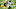 Green Bay Packers Green Bay Packers
