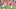 NFL: Oakland Raiders at Kansas City Chiefs