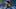 Everton