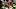 Green Bay Packers Green Bay Packers