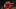 Roberto Firmino Andy Robertson Liverpool Roberto Firmino Andy Robertson Liverpool