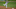 Boston Red Sox Boston Red Sox