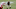 Rondale Moore Rondale Moore