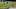 PGA National, PGA, 2022 Honda Classic