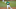 Marcus Semien, Oakland Athletics Marcus Semien, Oakland Athletics