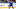 Toronto Maple Leafs