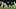 NASHVILLE, TN – NOVEMBER 26: Ralph Webb NASHVILLE, TN – NOVEMBER 26: Ralph Webb