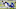Kentucky football