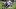 Philadelphia Eagles Philadelphia Eagles