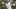 PGA Championship, Oak Hill, PGA of America, 2023 PGA Championship, Rory McIlroy, Jon Rahm PGA Championship, Oak Hill, PGA of America, 2023 PGA Championship, Rory McIlroy, Jon Rahm