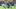 Houston Texans Houston Texans