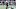FOXBORO, MA – DECEMBER 31: Dion Lewis FOXBORO, MA – DECEMBER 31: Dion Lewis