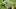 Philadelphia Eagles Quez Watkins Philadelphia Eagles Quez Watkins