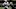 New England Patriots New England Patriots