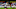 Son Heung-Min Tottenham Son Heung-Min Tottenham