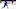 nhl expansion draft