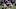 Patrick Chung Patriots Patrick Chung Patriots