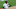 Yankees bold predictions, Aaron Hicks Yankees bold predictions, Aaron Hicks