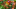 Nintendo_Land_Screen Nintendo_Land_Screen