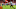 Chicago Bears, Chicago Bears,