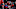 MONTREAL, QC – JANUARY 7: Max Pacioretty MONTREAL, QC – JANUARY 7: Max Pacioretty