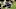 Chicago Bears John Timu Chicago Bears John Timu